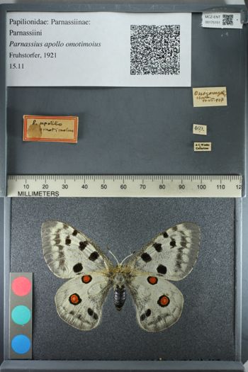Media type: image;   Entomology 175151